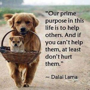 Meet your Posher, Beth